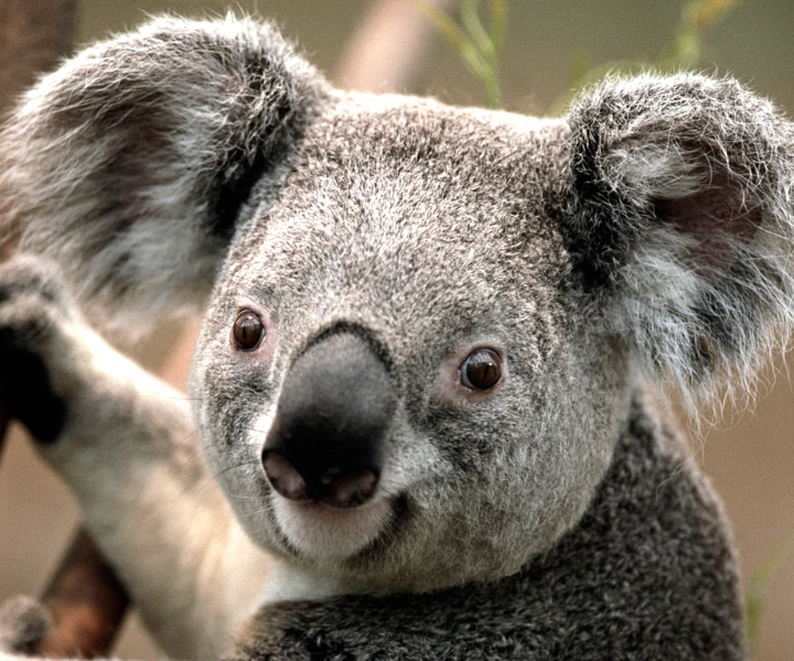 artikal how to use your spare time to your advantage kolektiv gerusija